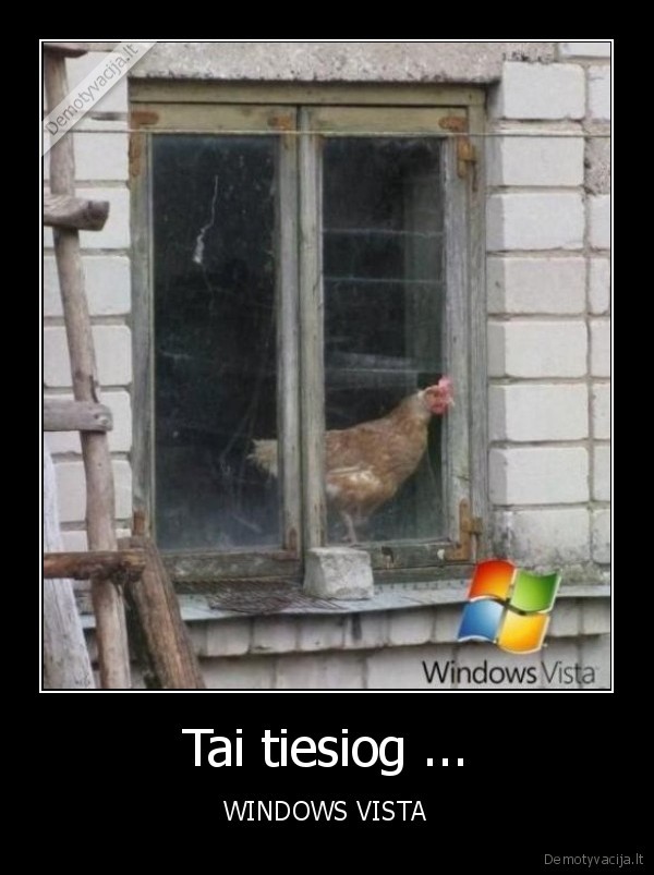 vista