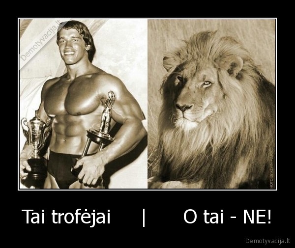 trofejai