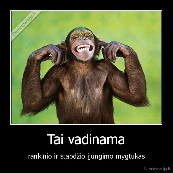 Tai vadinama