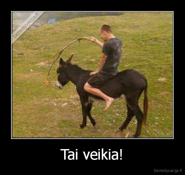 veikia