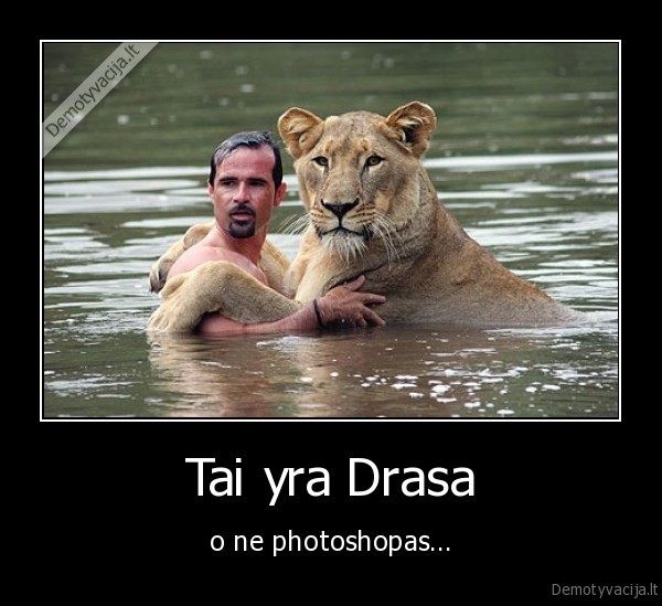liutas,drasa,zmogus,photoshop