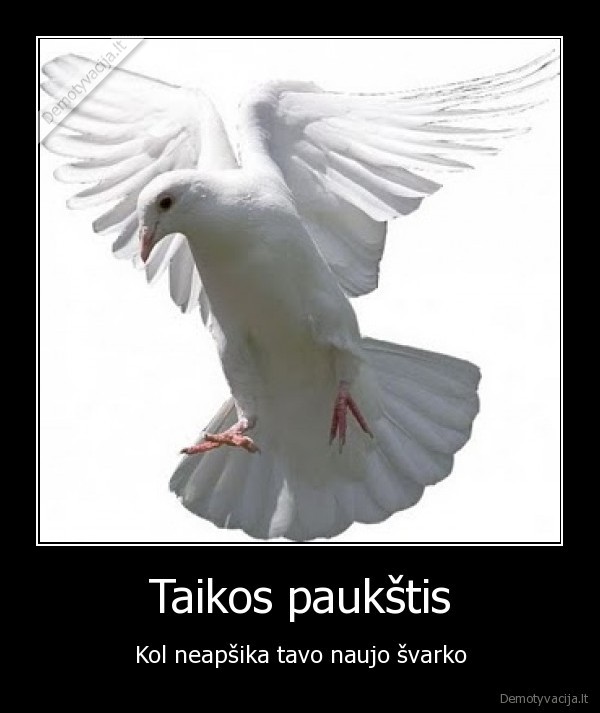 balandis,baltas,apsiktas,naujas,svarkas