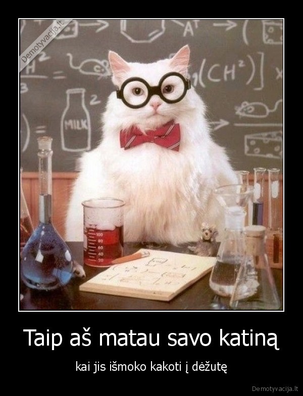 Taip aš matau savo katiną