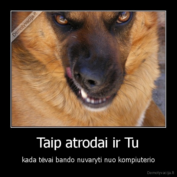 Taip atrodai ir Tu
