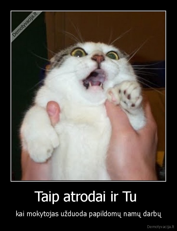 Taip atrodai ir Tu 