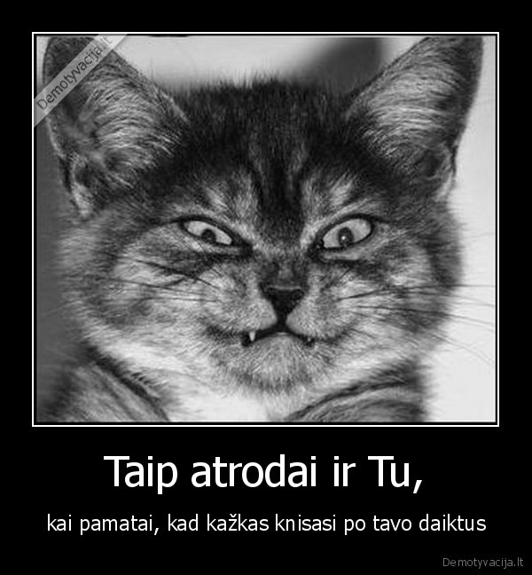 Taip atrodai ir Tu,