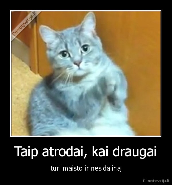 Taip atrodai, kai draugai