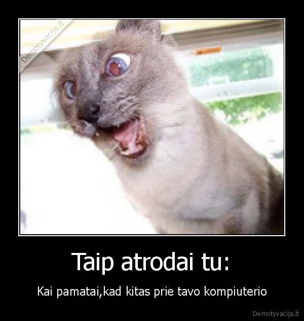 Taip atrodai tu: