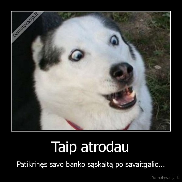 savaitgalis