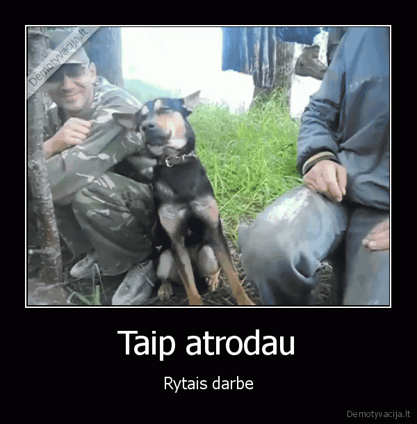 darbas,nori, miego