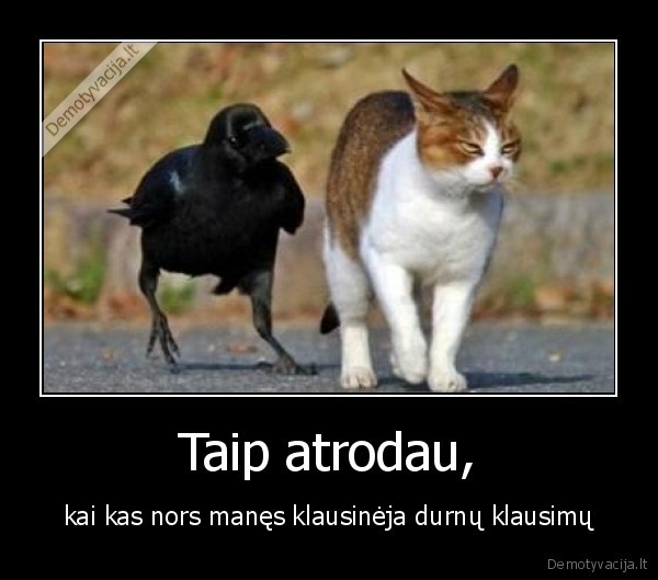 Taip atrodau,