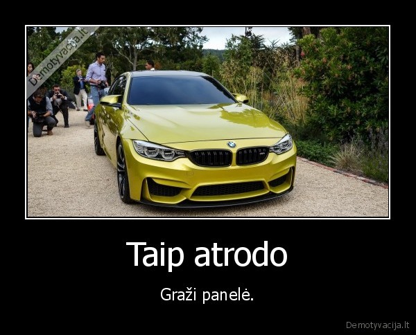 bmw,masina,panele