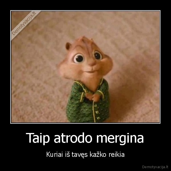 merginos,cipendeilai,burundukas,merginos, zvilgsnis