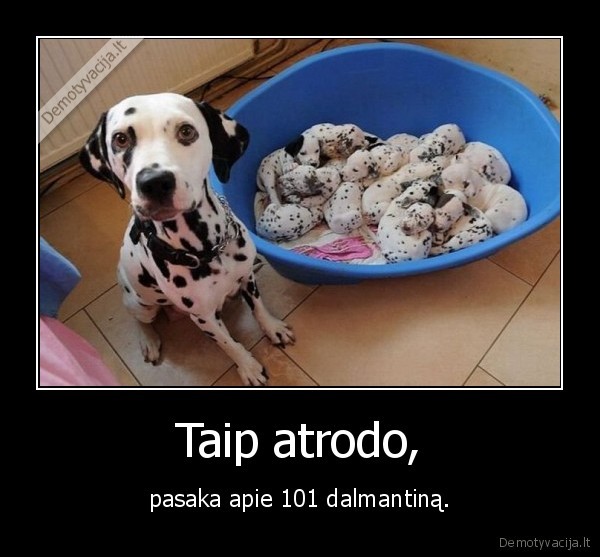 Taip atrodo,