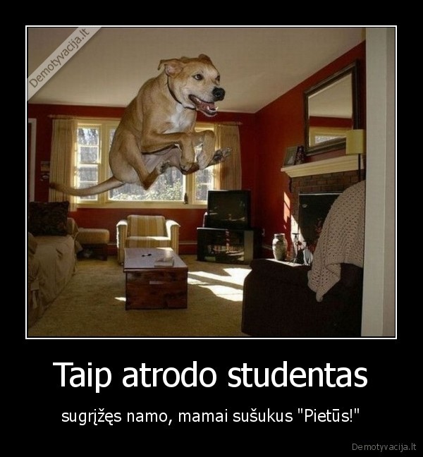 studentai,barakas,studentu, maistas