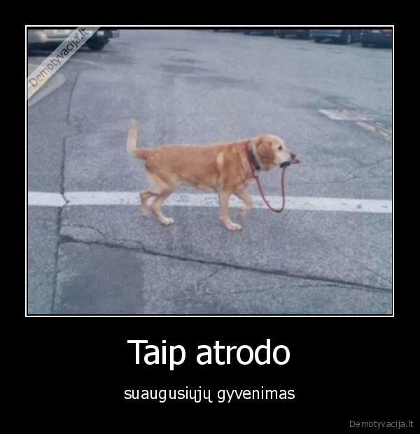 Taip atrodo