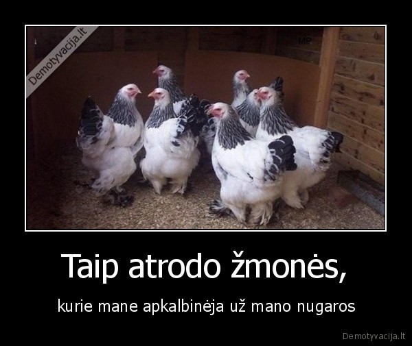 vistos,zmones
