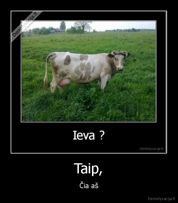 ieva, cia, tu, o
