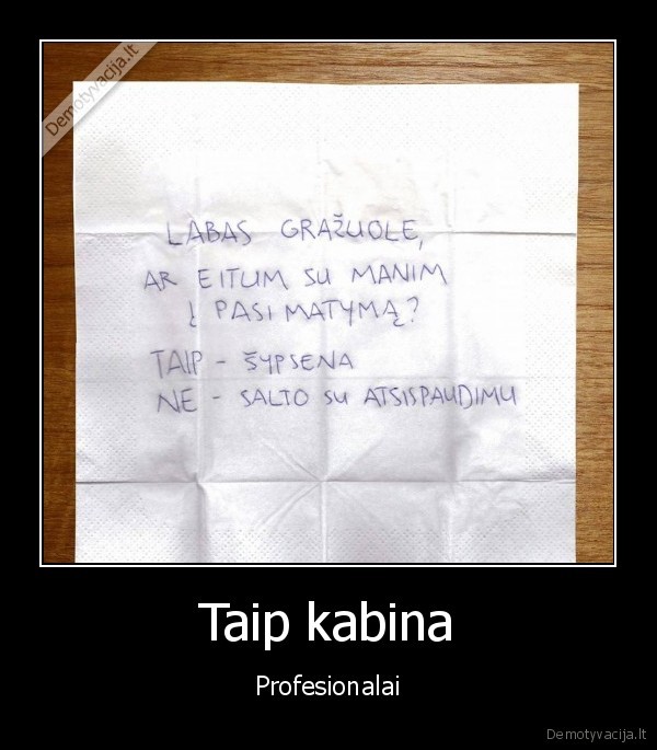 kabinimo, menas,viliones