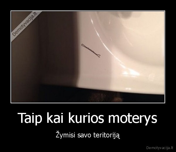 teritorijos, zymejimas,plauku, segtukas