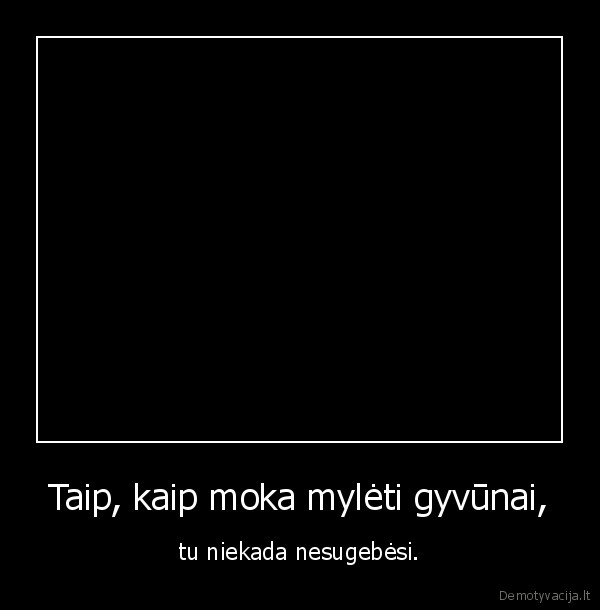 meile