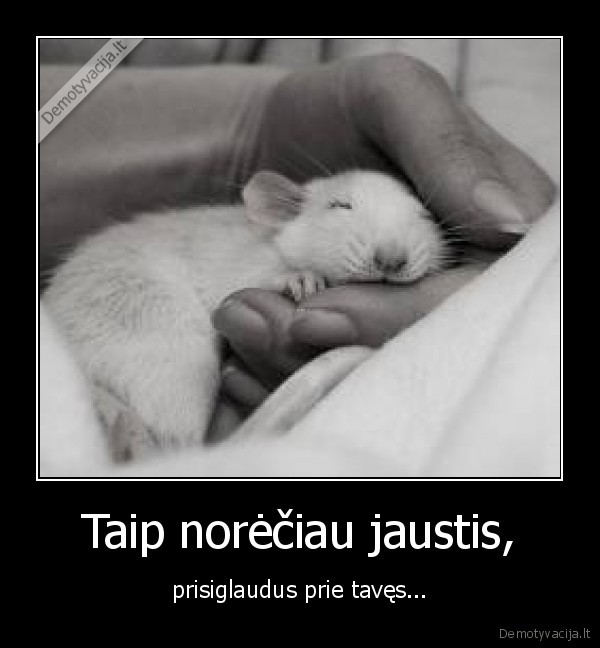 ziurkes,meile,prisilietimas
