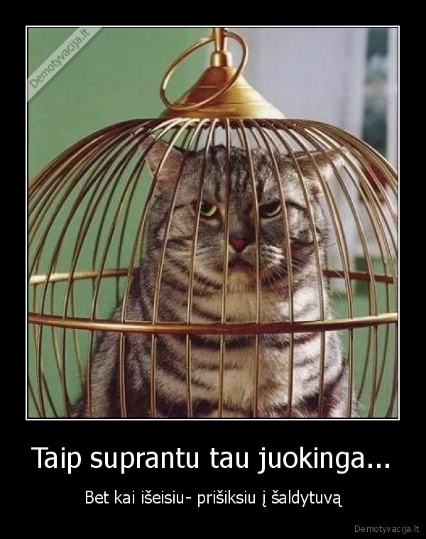Taip suprantu tau juokinga...