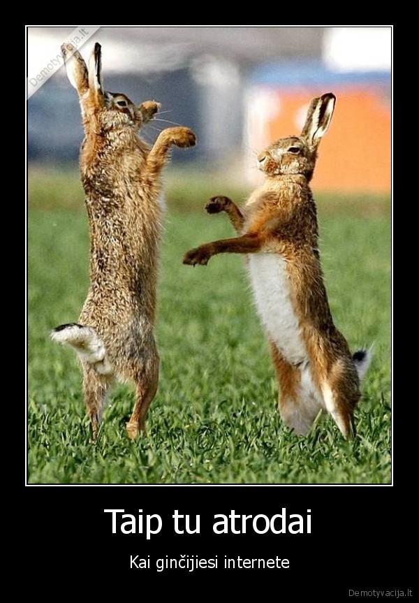 bunneh