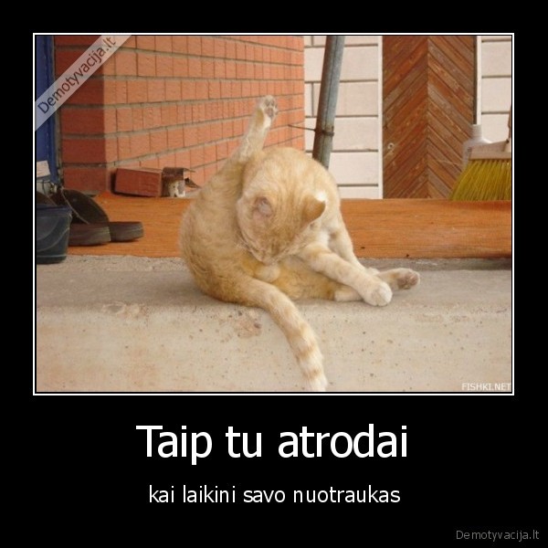 foto,like