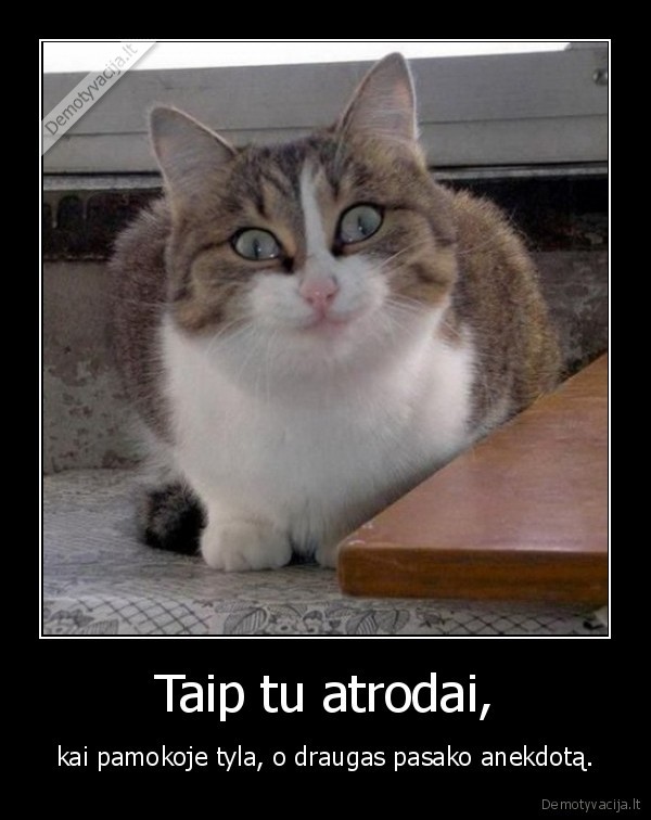 pamokos,anekdotai