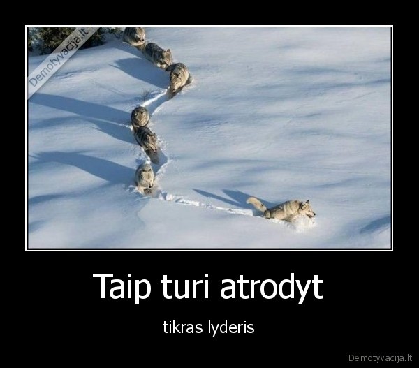 Taip turi atrodyt