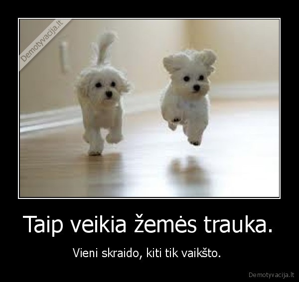 Taip veikia žemės trauka.