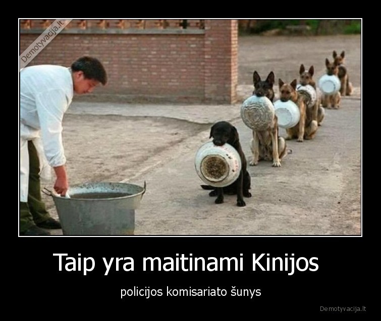 sunys,maitina,policijos,komisariatas,disciplina