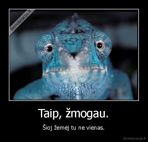 Taip, žmogau.