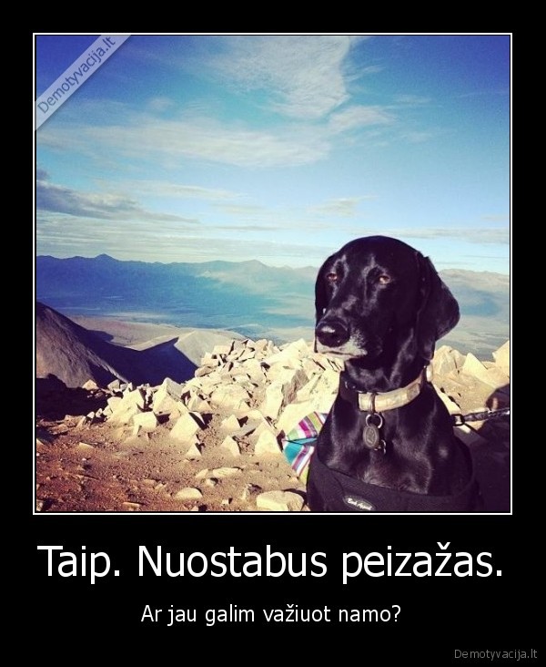 nesuzavetas, suo,kalnai