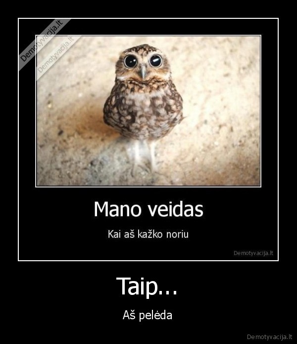 Taip...