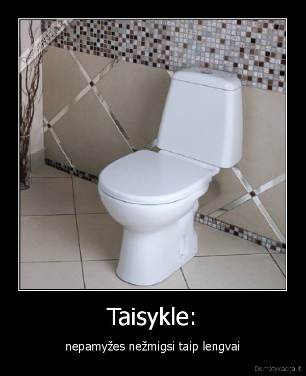 Taisykle: