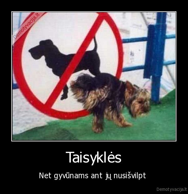 Taisyklės