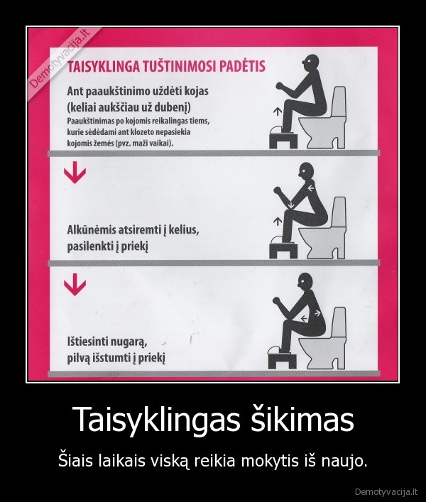 Taisyklingas šikimas