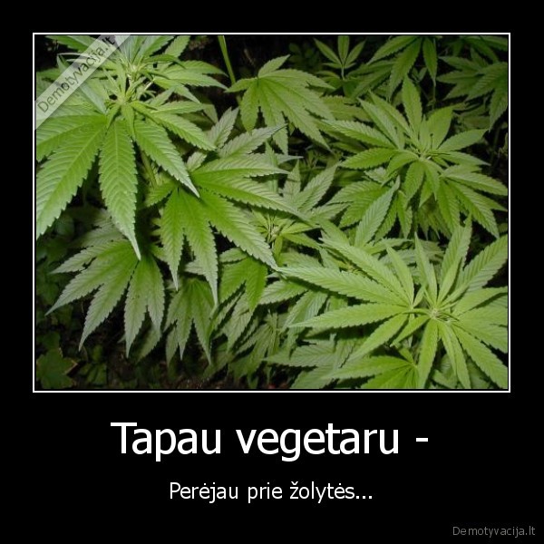 Tapau vegetaru -