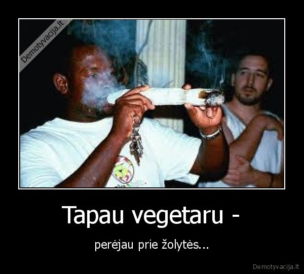 Tapau vegetaru -