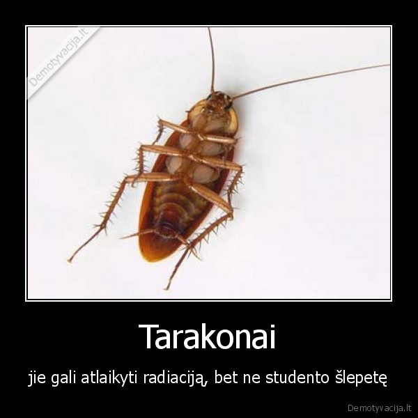 Tarakonai