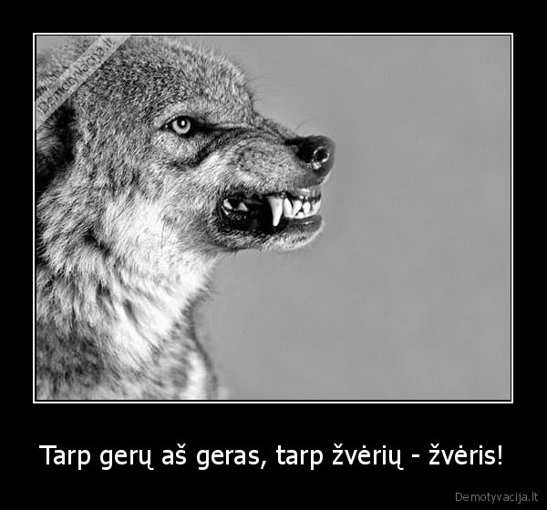 geras, zmogus,blogas, zmogus,vilkas,zveris,buti, blogu,buti, geru