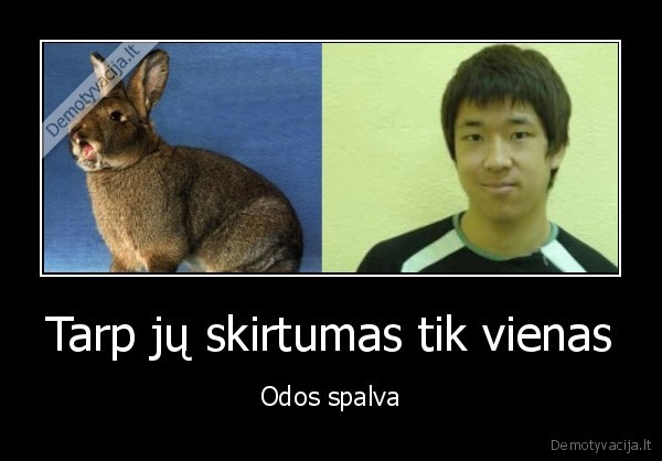 kinai,triusiai,skirtumas,spalva
