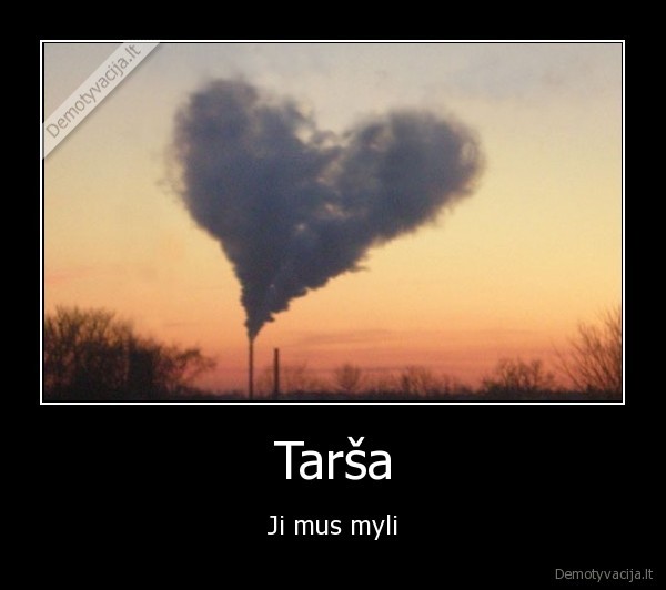 tarsa,myli,mus,ji