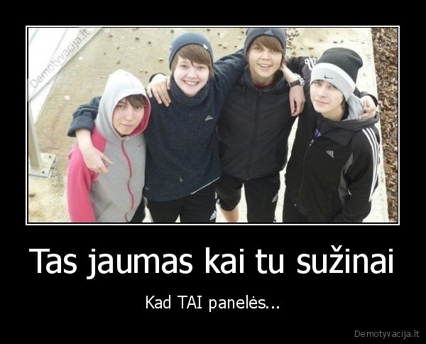 paneles,bobos