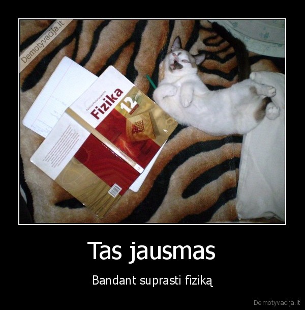 fizika
