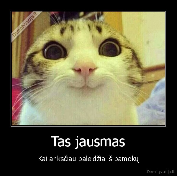 pamokos,mokykla