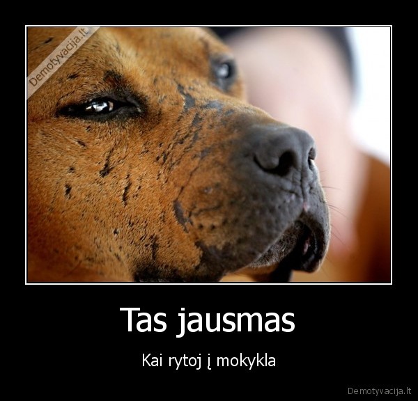 Tas jausmas