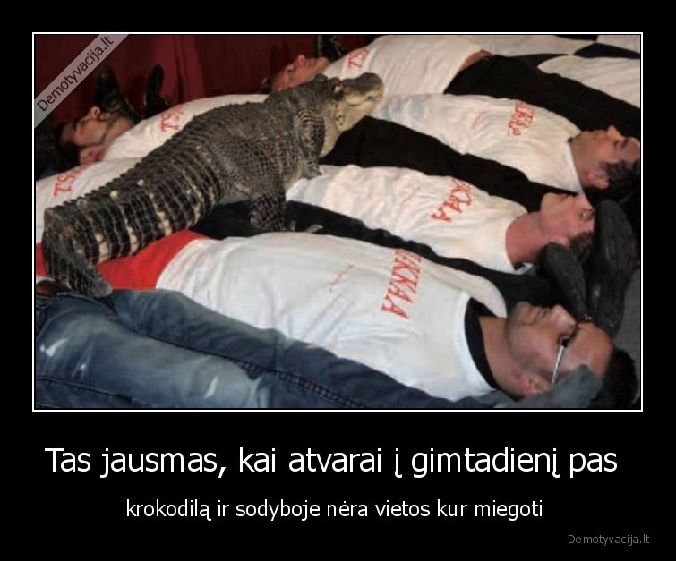 krokodilas